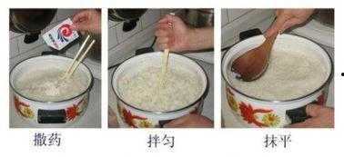 做甜酒视频,揭秘传统甜酒制作全过程