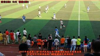 足球比赛打架视频,激情碰撞!足球赛场暴力冲突瞬间回顾