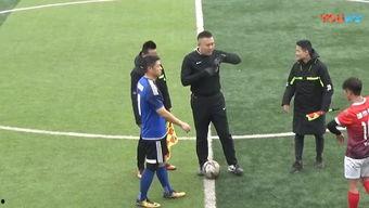 足球比赛打架视频,激情碰撞!足球赛场暴力冲突瞬间回顾