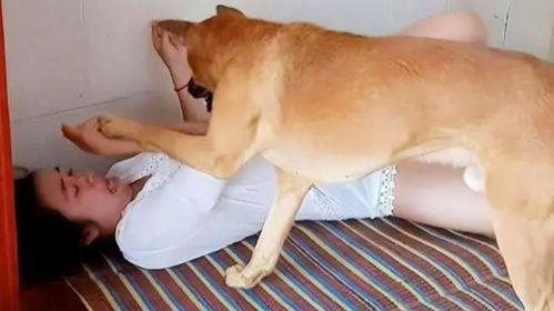 女子和狗与视频