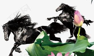 奔马视频素材,速度与激情的视觉盛宴