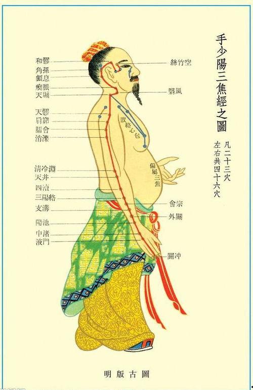 如何拍打三焦经视频,轻松掌握养生之道
