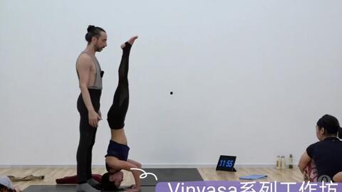 哈他瑜伽视频,轻松入门,身心和谐之旅