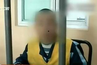 性视频免费的性视频全集